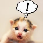 細かすぎて伝わらない当教室の密かなこだわり