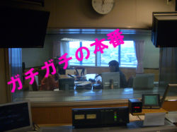 2回ほど・・・カミました(*_*)